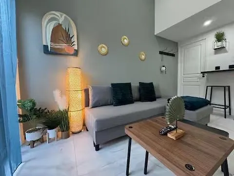 Petit Boudoir Lyonnais Neuf Terrasse Climatise