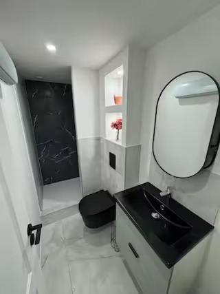 Petit Boudoir Lyonnais Neuf Terrasse Climatise